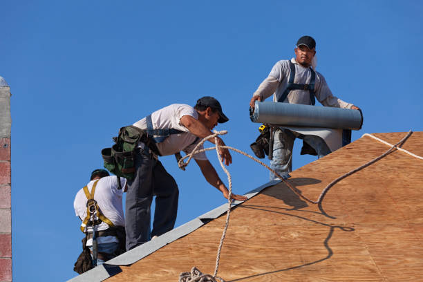 Best Local Roofing Companies  in Wrens, GA