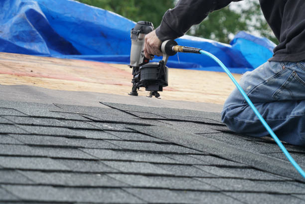 Roof Gutter Cleaning in Wrens, GA